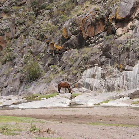 Altos Del Valle San Agustín de Valle Fértil Exteriör bild